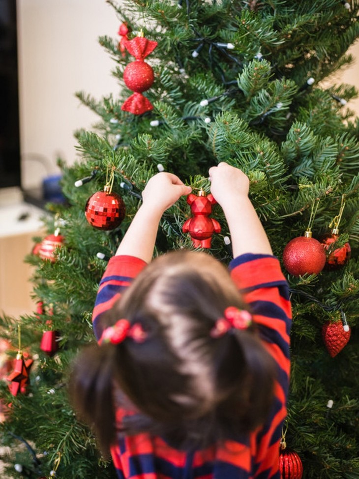 Hanoians keen to buy fresh pine trees as Christmas comes near - ảnh 5